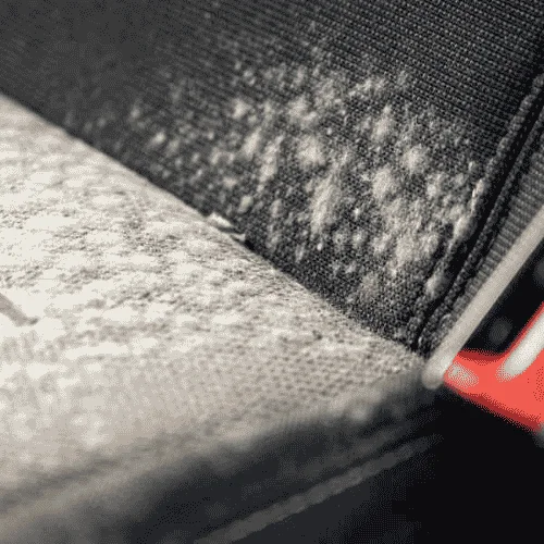 How-to-Get-Rid-of-Mold-Virus-in-Your-Car