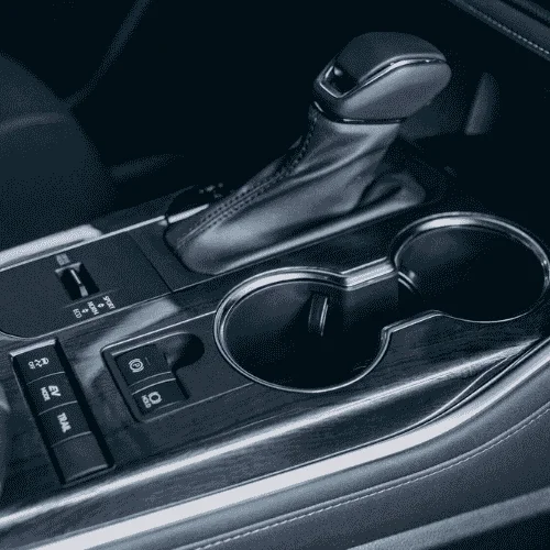 Protect-Your-Vehicle-With-Professional-Mold-Removal-Service